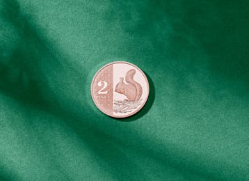 the new 2p.jpg the new 2p.jpg